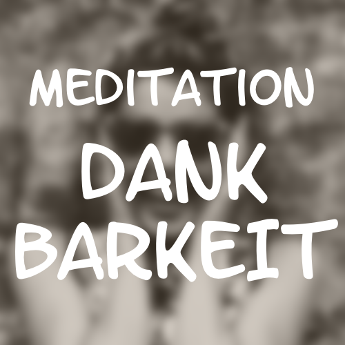 Dankbarkeits-Meditation-500.png