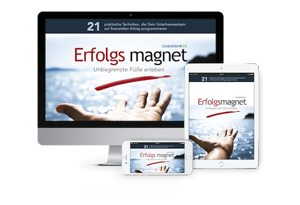 Erfolgsmagnet-web2