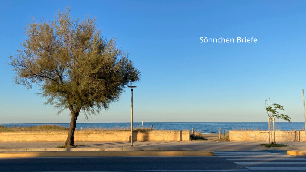 soennchenbriefe