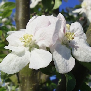 Schoenheit Natur