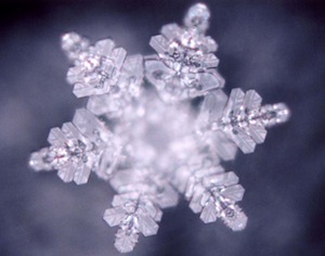 Masaru Emoto 