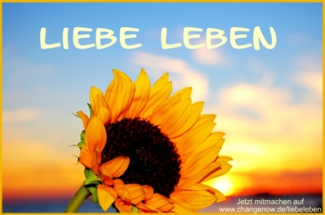 liebeleben Liebe Leben