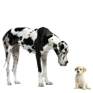 nichtunterkriegenlassen Nicht unterkriegen lassen