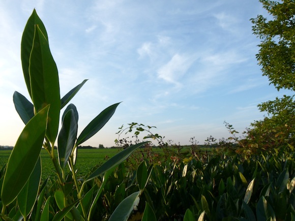 momentderstille Moment der Stille