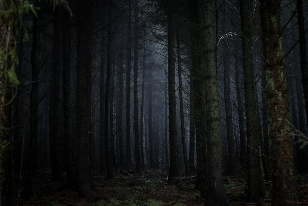 Menschenkenntis Wald